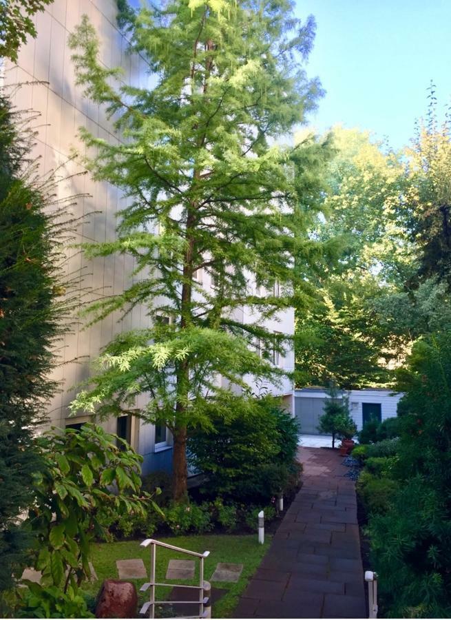 Apartment Centrum Im Gruenen Nuremberg Luaran gambar